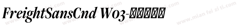 FreightSansCnd W03字体转换